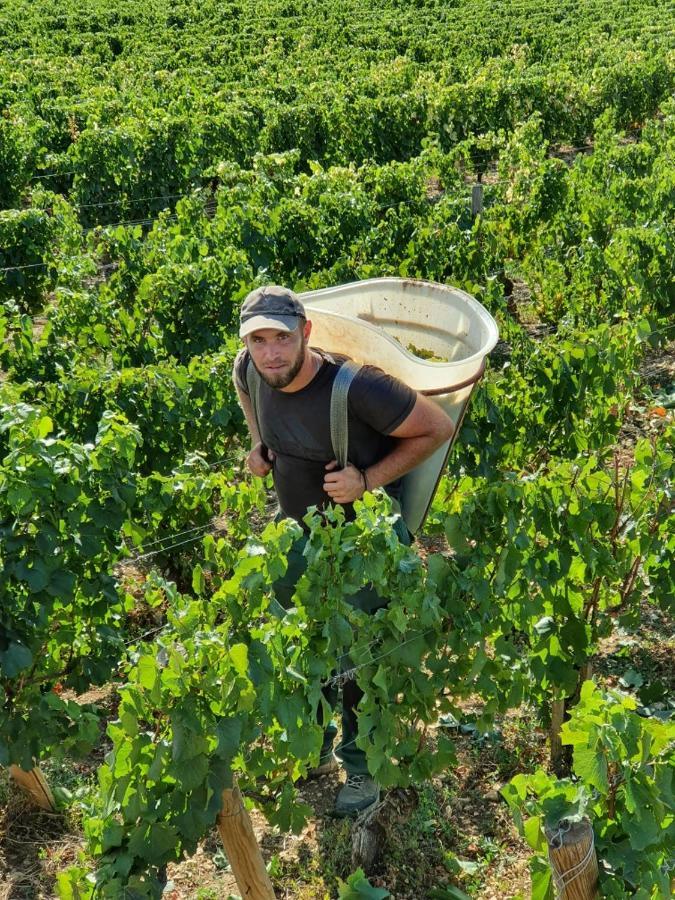 La Fruitiere Leilighet Chaudenay Eksteriør bilde