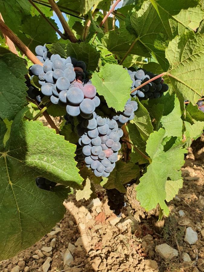 La Fruitiere Leilighet Chaudenay Eksteriør bilde